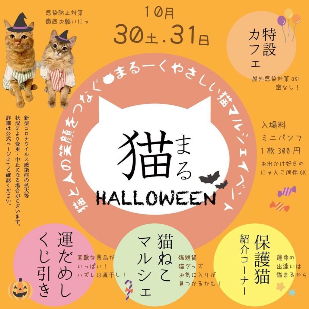 まるーくやさしい猫マルシェイベント「猫まるvol.2」＠JR大阪環状線弁天町駅前べんてんひろばで開催！【10/30～10/31】 | 大阪 ...